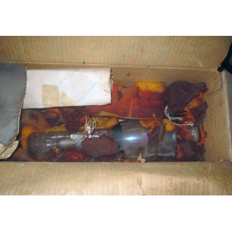 13ЛН8 (Пенза)