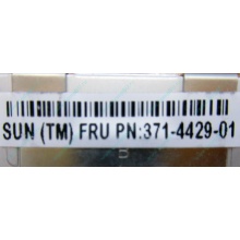 Серверная память SUN (FRU PN 371-4429-01) 4096Mb (4Gb) DDR3 ECC в Пензе, память для сервера SUN FRU P/N 371-4429-01 (Пенза)