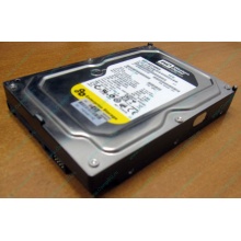 Жесткий диск 160Gb WD WD1602ABKS SATA (Пенза)