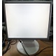 Монитор 17" TFT Nec MultiSync LCD175VXM+ бело-серебристый (Пенза)