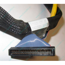 Кабель SCSI HP 166298-037 для HP ML370 G4 (Пенза)