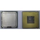 Процессор Intel Celeron D 336 (2.8GHz /256kb /533MHz) SL98W s.775 (Пенза)