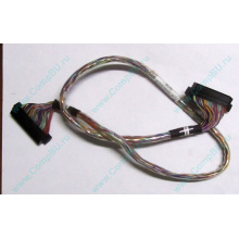 6017B0045301 в Пензе, 68pin SCSI кабель 26.5" / 57cm для корзины HDD Intel SR2400 (Пенза)